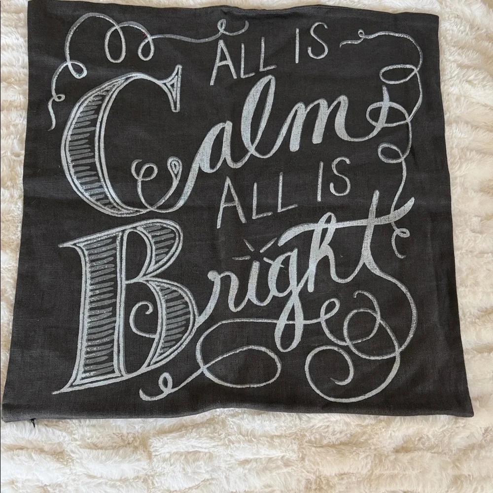 Pottery Barn Holiday Pillow cover